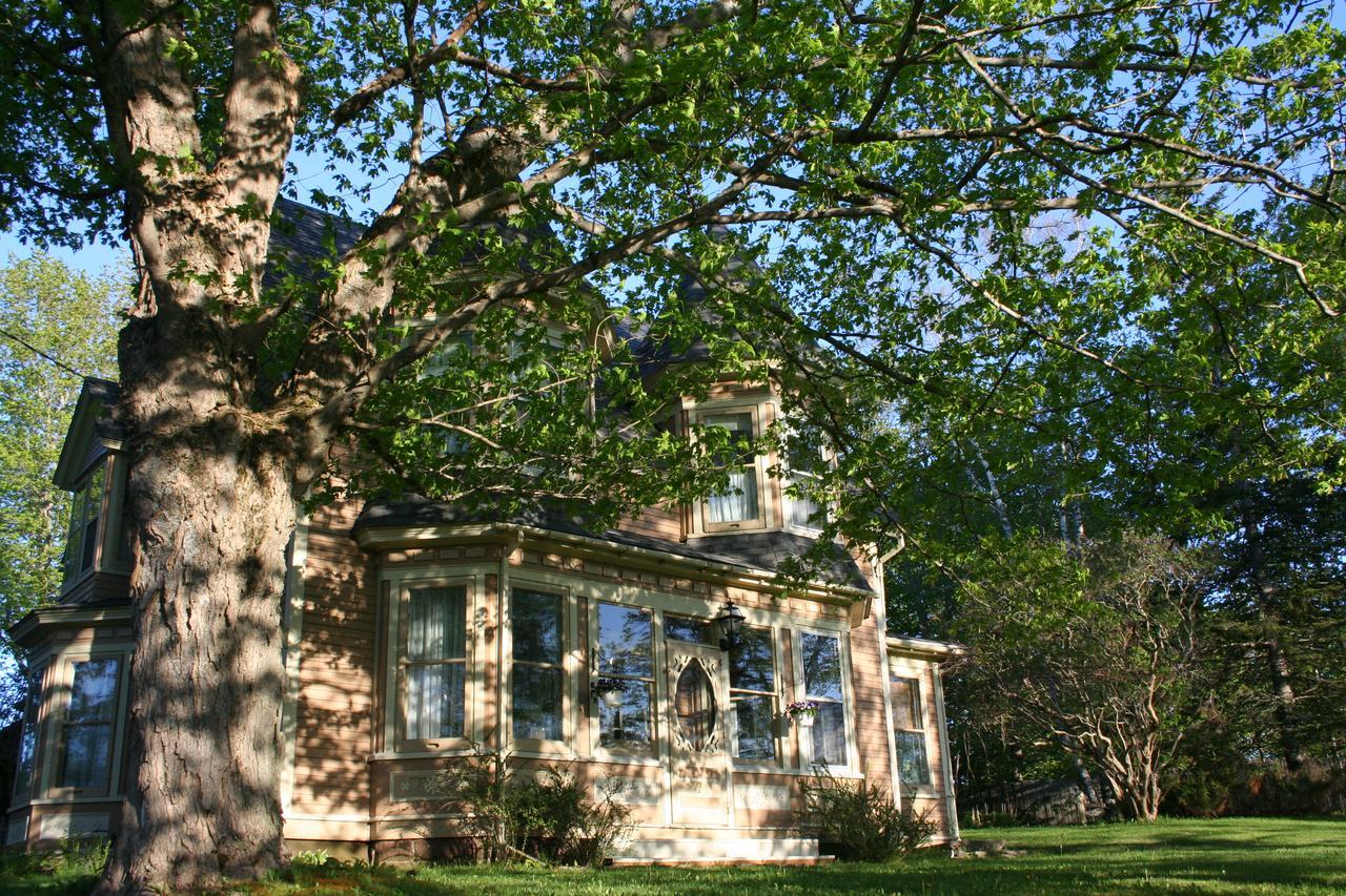 Sackville Bed And Breakfast Buitenkant foto